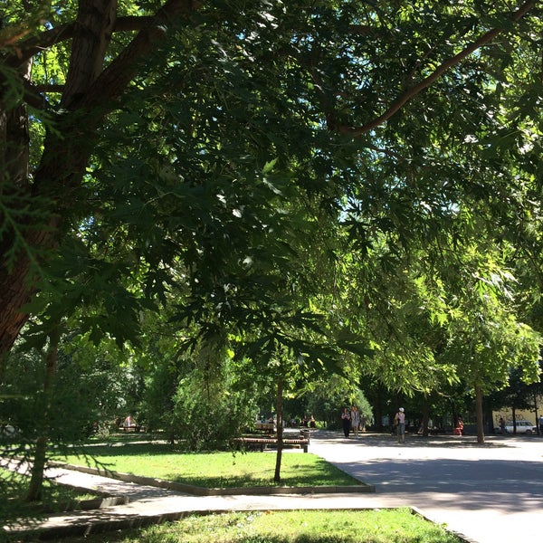 Ростов пушкинская 101