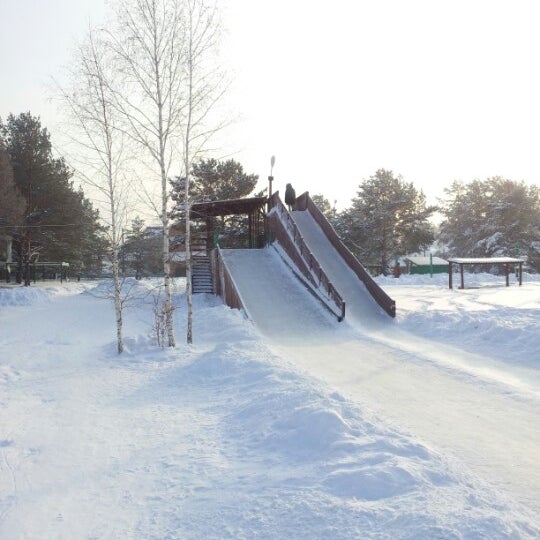 Бердск зеленый остров