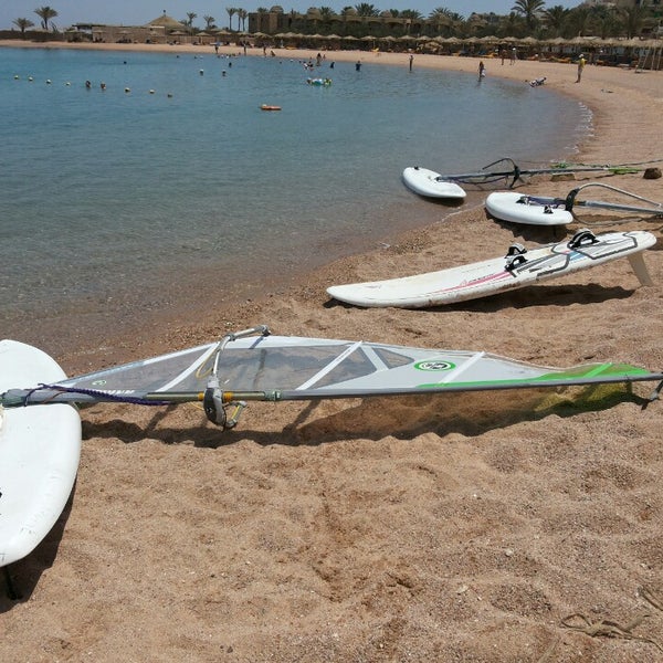 Wind Hunters Surf Station Сосновый
