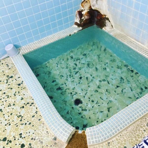 薬研温泉 薬研荘 薬研温泉 0 Tips 薬研温泉 薬研荘 薬研温泉 0 Tips