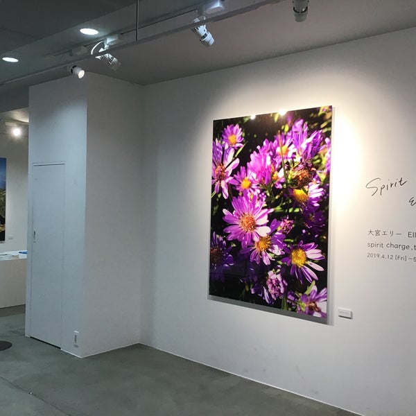 藤井大丸7fギャラリースペース 6 Visitors