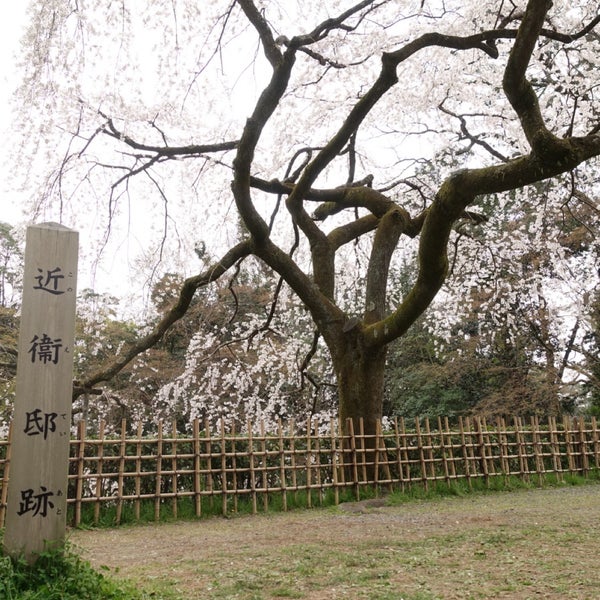 近衛邸跡 上京区京都御苑