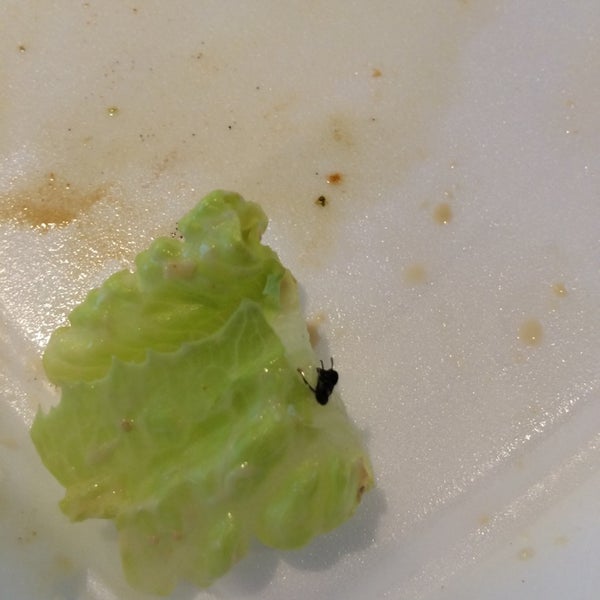 Like bugs? Salads are phenom. Oh, & apparently today's batch of cole slaw was sour, according to the adjacent table