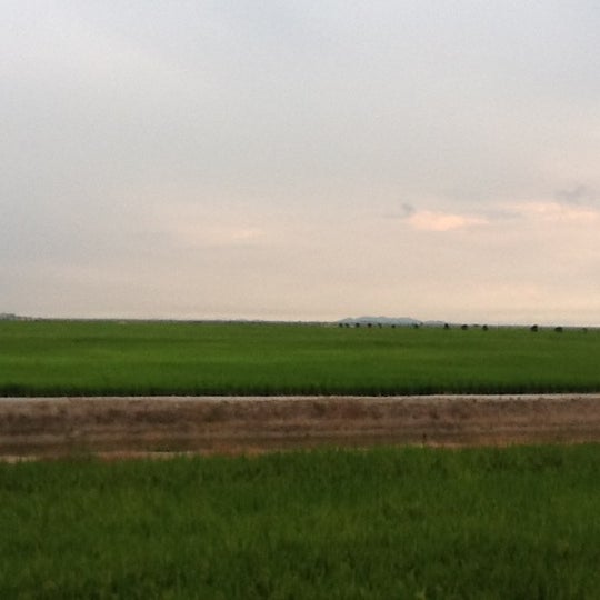 Sawah Padi Teluk Intan 1 Tip From 500 Visitors