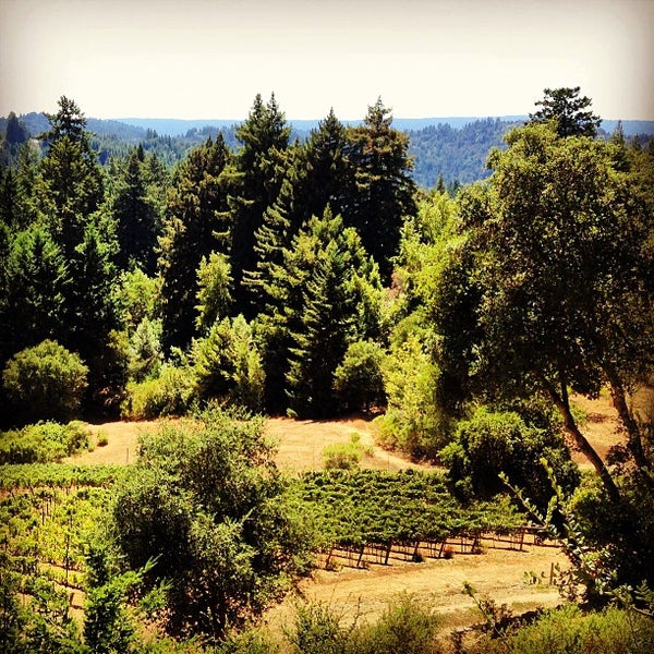 Photo taken at Regale Winery &amp; Vineyards by Jacinth S. on 7/28/2013