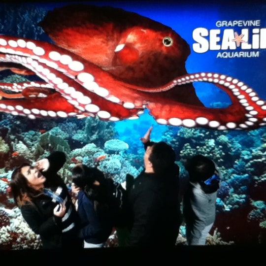 Photo taken at SEA LIFE Grapevine Aquarium by Samantha G. on 12/17/2012