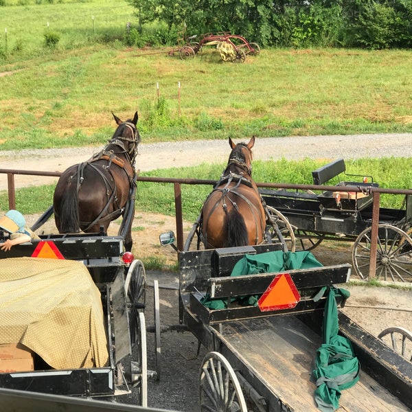 Delano Community Farm Market 3 tips