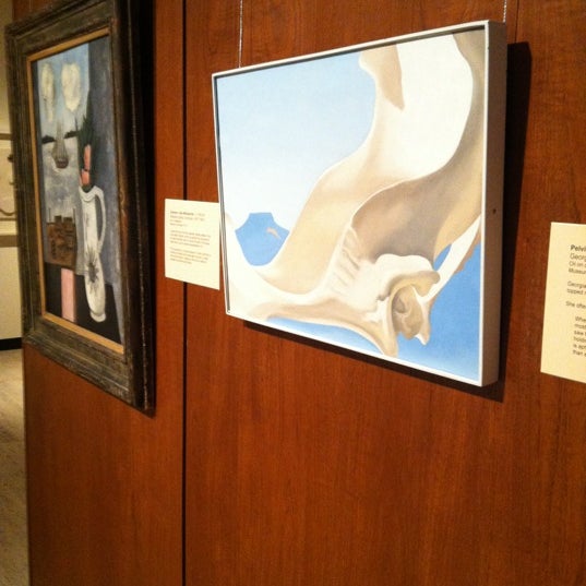 รูปภาพถ่ายที่ Munson Williams Proctor Arts Institute โดย Anne W. เมื่อ 11/23/2012