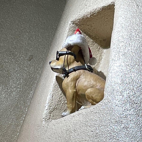 Andele's Dog House 5 tips from 197 visitors