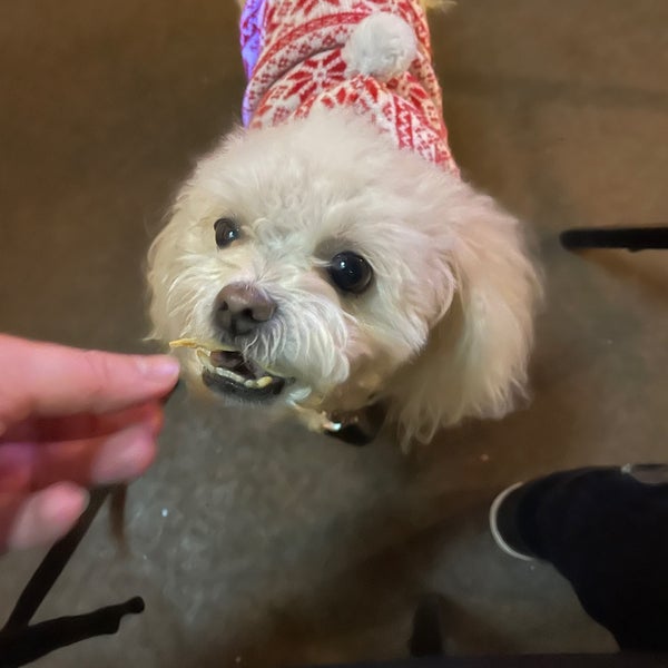 Andele's Dog House 5 tips from 197 visitors