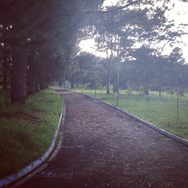 Bosque do Jardim Botânico - Parque em Araraquara