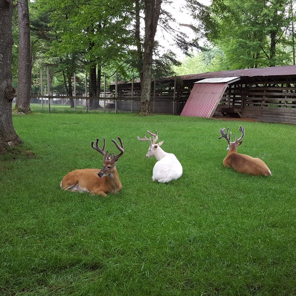 Double Diamond Deer Ranch Farm