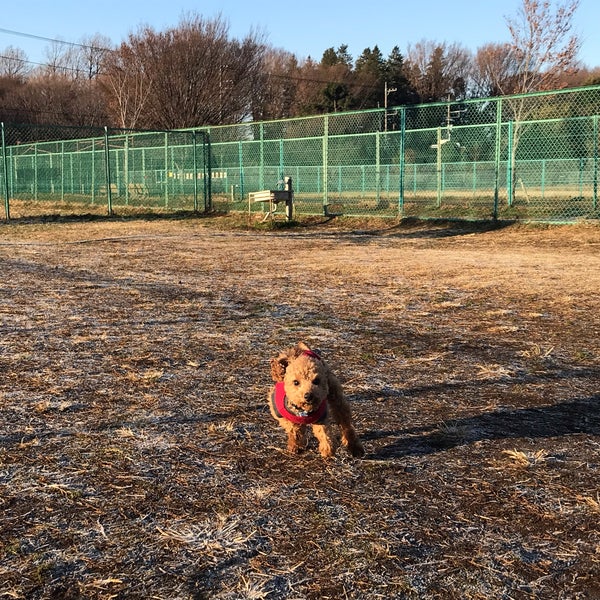 ドッグラン 調布 深大寺北町2 5 Da Fotograflar