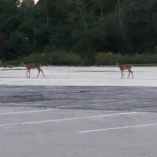 Steinhafels Furniture and Home Store in Oak Creek