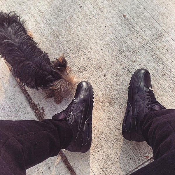 West Kendall Hammocks Dog Park 8 tips from 142 visitors