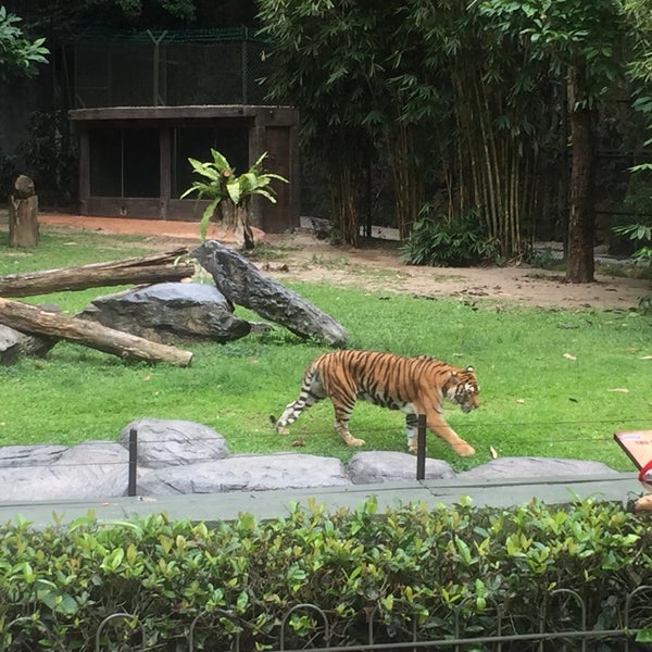 Lost World Petting Zoo Ipoh Perak