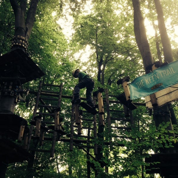 Fun forest. Fun forest