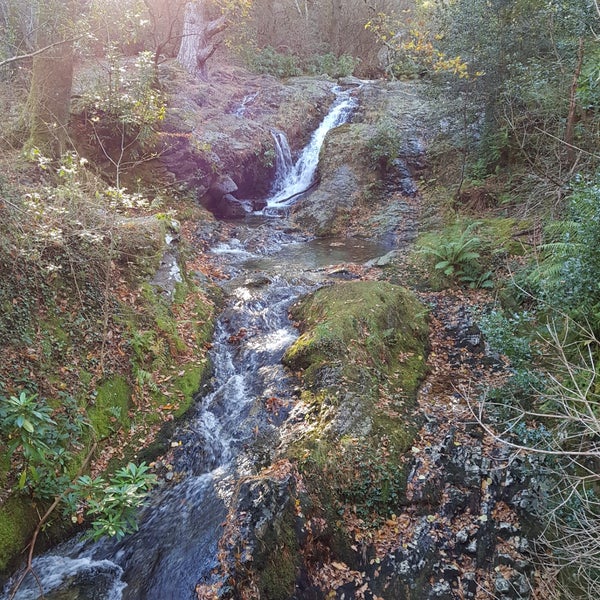 Donard Park 116 visitors