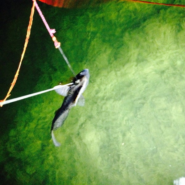 NightMare BowFishing Zone Springfield, TN