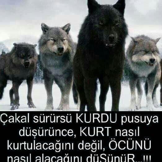 Не важно кто против важно кто рядом картинки