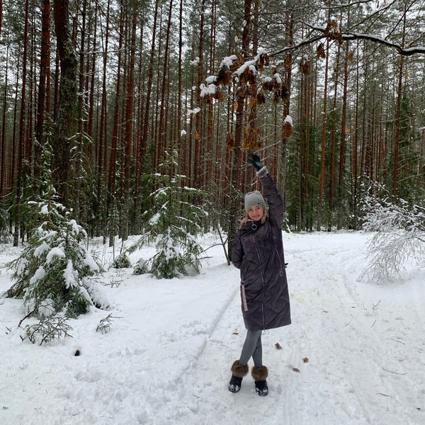 Карта шалово перечицкого заказника