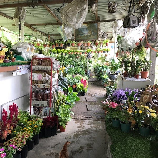 Lot 51 Hasimah Nursery Petaling Jaya Selangor