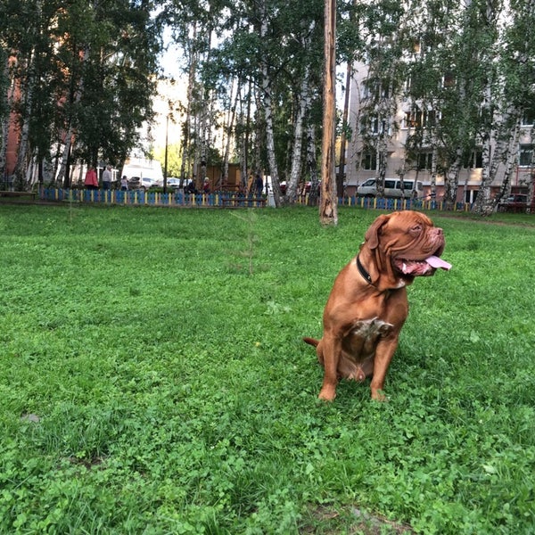Парк имени блюхера екатеринбург