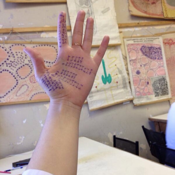 Кафедра анатомии спбгпму преподаватели. Больница бирск црб. Кафедра патологической анатомии чгу. Зав кафедрой госпитальной педиатрии кгму. Спбгпму кафедра гистологии.