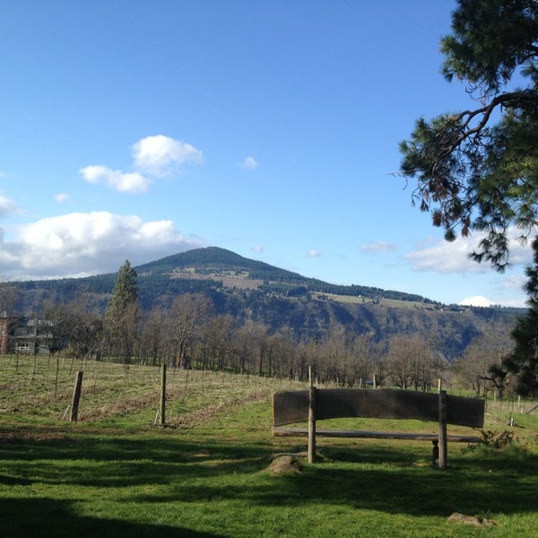 Photo taken at Cathedral Ridge Winery by Gabriel M. on 4/1/2013