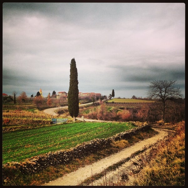 1/12/2013にBuchibuがAgroturizam San Mauro – Sinkovic Winesで撮った写真