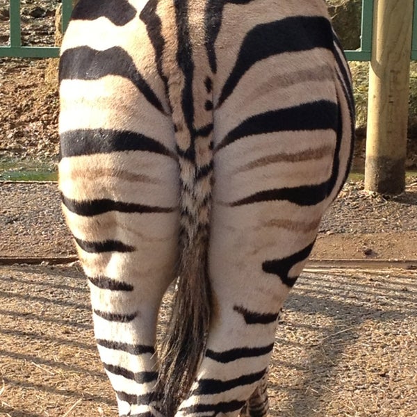 2/17/2013にSimon H.がHertfordshire Zooで撮った写真
