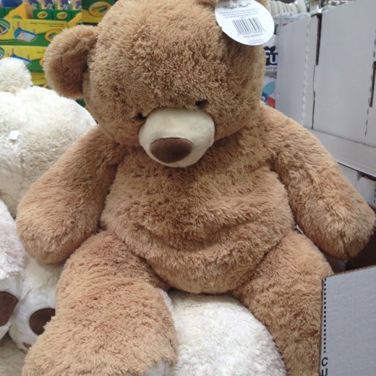big teddy bear bjs