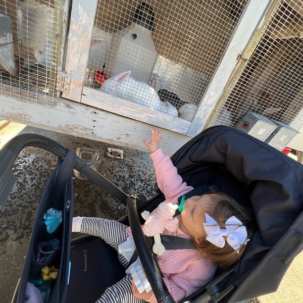 Goffle Road Poultry Farm 11 tips from 285 visitors