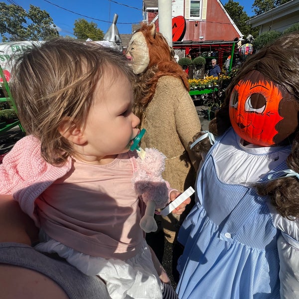 Goffle Road Poultry Farm 11 tips from 284 visitors