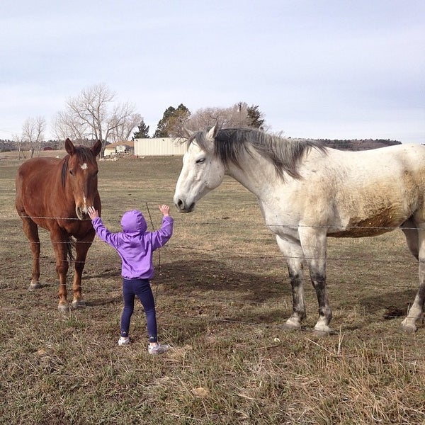 Cherry Creek Bike Trail Bike Trail
