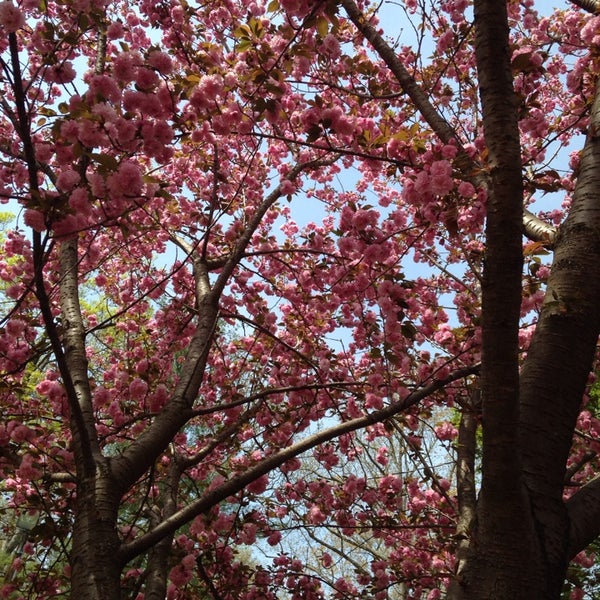 South Fork Community Center South Fork WinstonSalem, NC