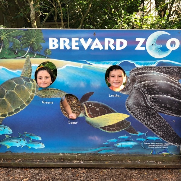 Снимок сделан в Brevard Zoo пользователем Brian D. 11/10/2018