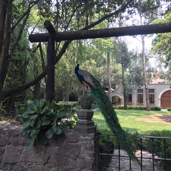 Photo taken at Museo Dolores Olmedo by Christian V. on 5/12/2019