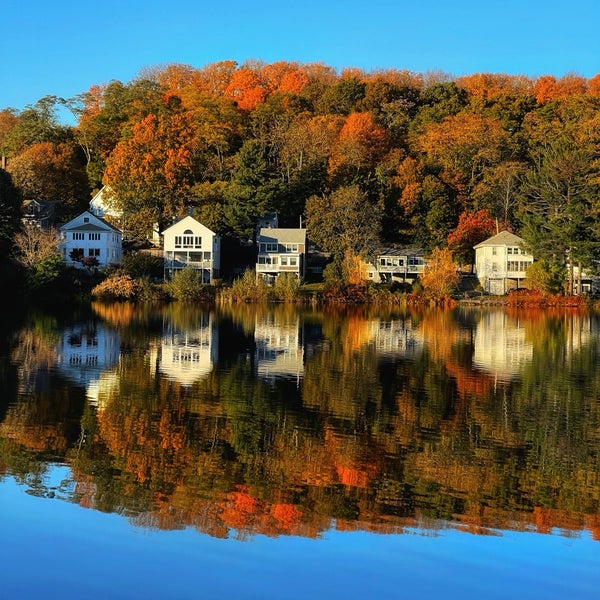 Chandler Pond 3 tips from 120 visitors