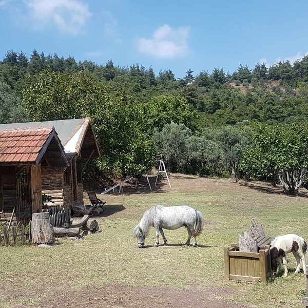 Photo taken at Doğuşlu Binicilik ve Pony Kulübü by İrem S. on 8/18/2017