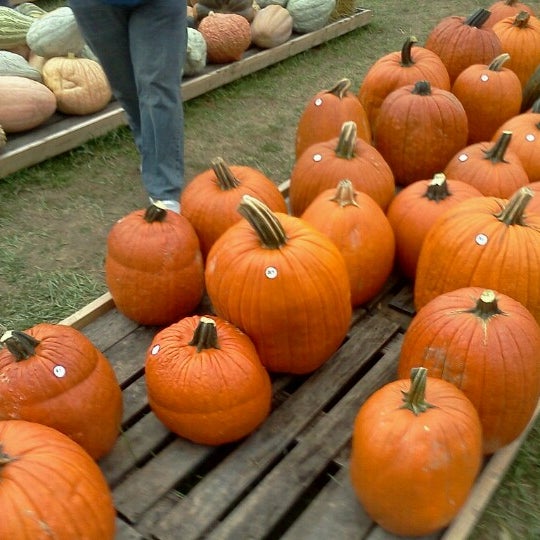 Foto scattata a Fleitz Pumpkin Farm da Bryan il 10/6/2012