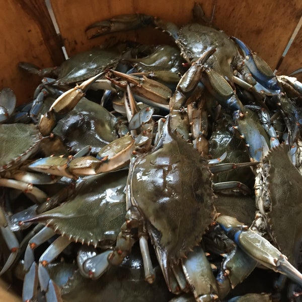Phil's Crabs - South Philadelphia East - 50 visitors
