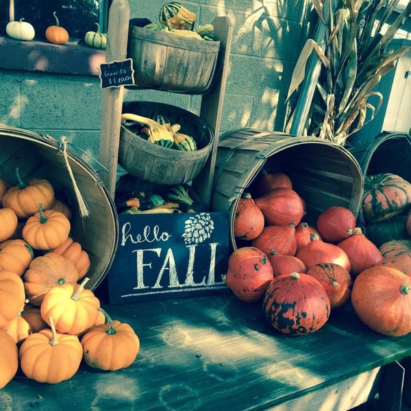 Photo taken at Milk House Farm Market by Milk House Farm Market on 5/8/2017