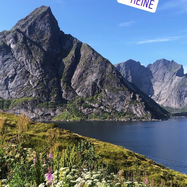 Reine 3 tips from 572 visitors