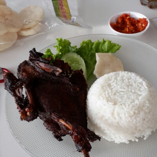 78 Gambar Bebek Ayam Burung Dara Gratis Terbaik