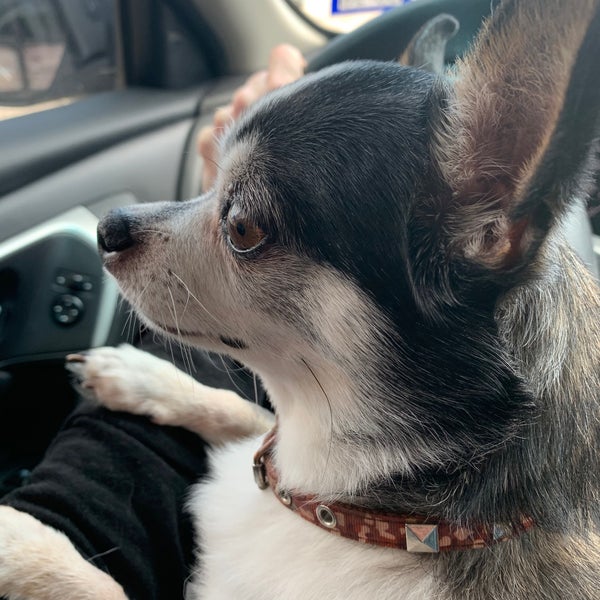 El Bosque Mexican Restaurant Montgomery, TX