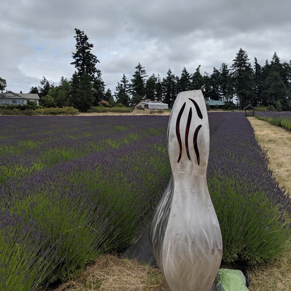 7/7/2019にJustin S.がPelindaba Lavender Farmで撮った写真