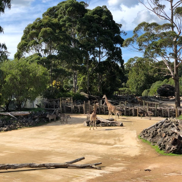 Foto scattata a Auckland Zoo da Evgeny B. il 4/5/2019