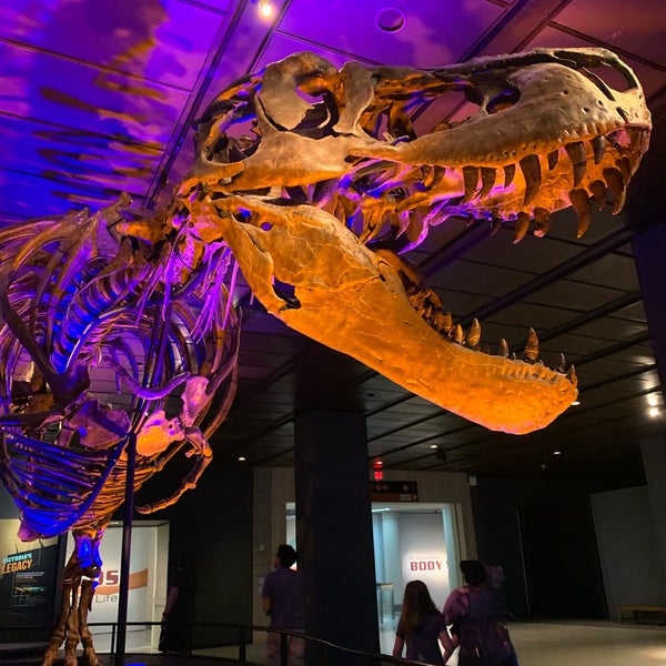 Photo taken at Houston Museum of Natural Science by Wynne D. on 7/7/2021