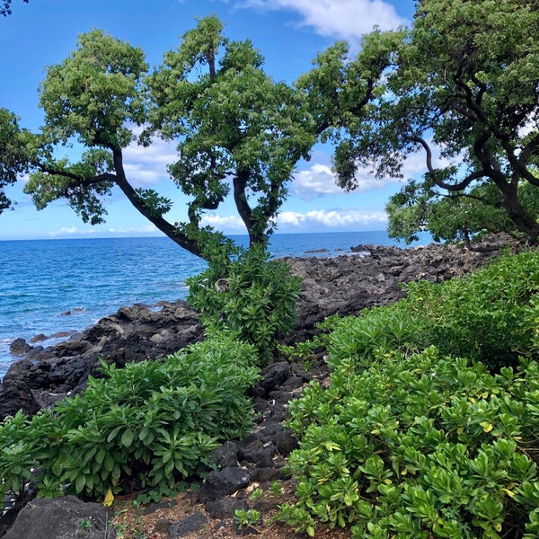 Foto tomada en Mauna Kea Beach Hotel, Autograph Collection  por Norton R. el 9/30/2019